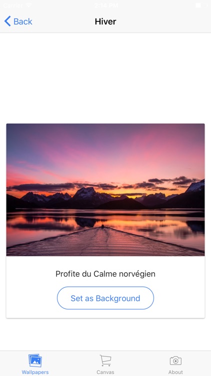 Mademoiselle La Photographe Wallpaper