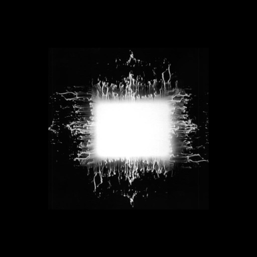 Tool News