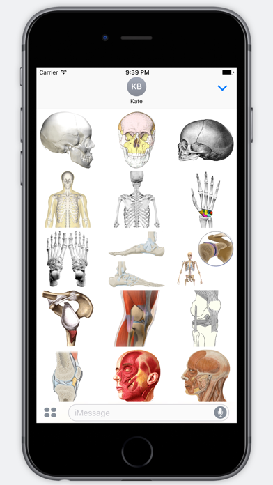 Screenshot #2 pour Anatomy Stickers