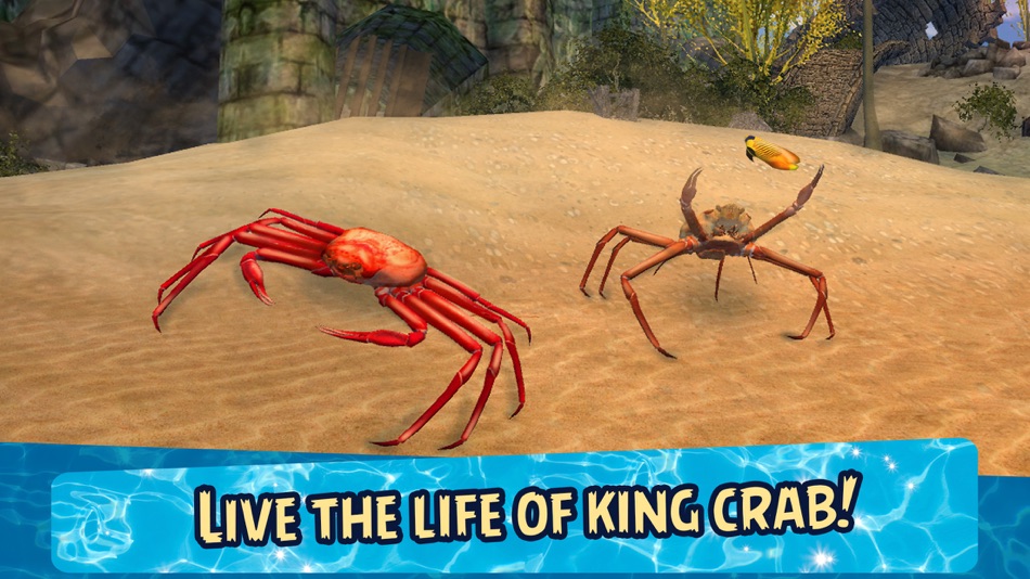 Sea Crab Simulator 3D - 1.0 - (iOS)