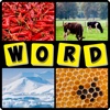 4 pics 1 word puzzles : Guess photo quiz