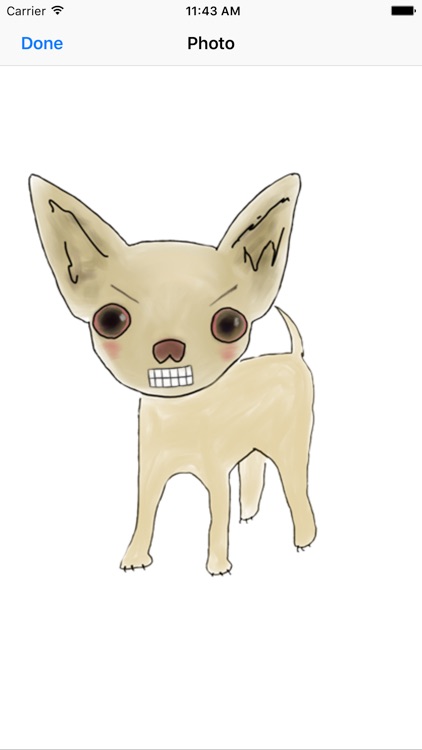 Chihuahua Powa