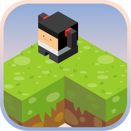 Blocky Ninjas Circle