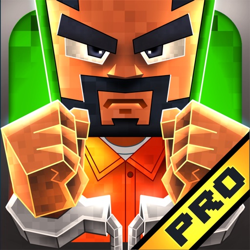 Pixel Prison Heist Escape pro