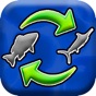 Fish Switch app download