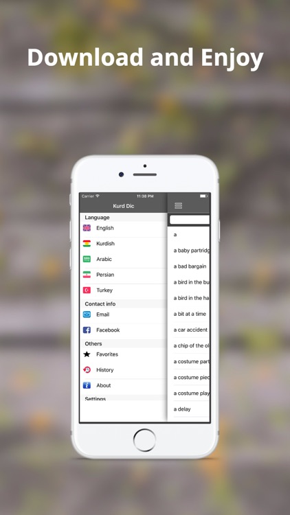 Kurd Dictionary screenshot-4