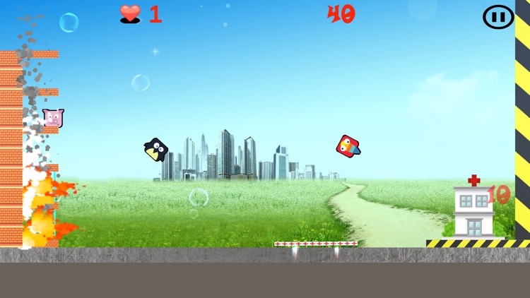 On Fire - Animal Rescue