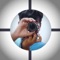 ------- The best photo editing app that comes with 200+ realistic stickers, 20+ editing tools & a quick collage maker tool