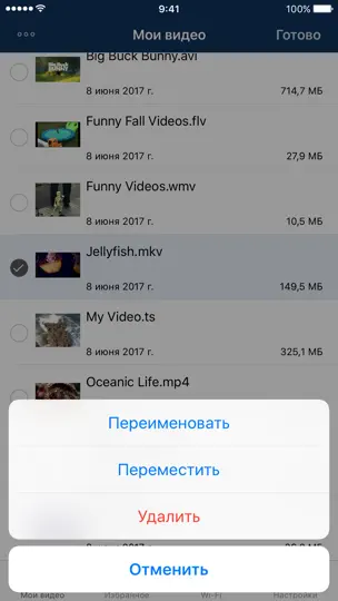 Скриншот AVPlayer для IPhone на iPhone 2