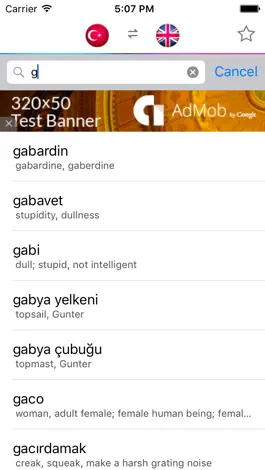 Game screenshot Turkish English Dictionary hack
