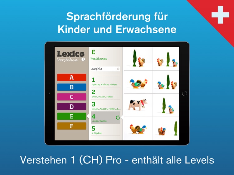 Lexico Verstehen 1 (CH) Pro