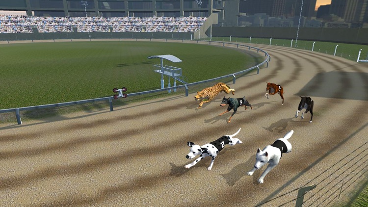 Crazy Dog Racing : Chase Racing Bunny With Pet Dog screenshot-4
