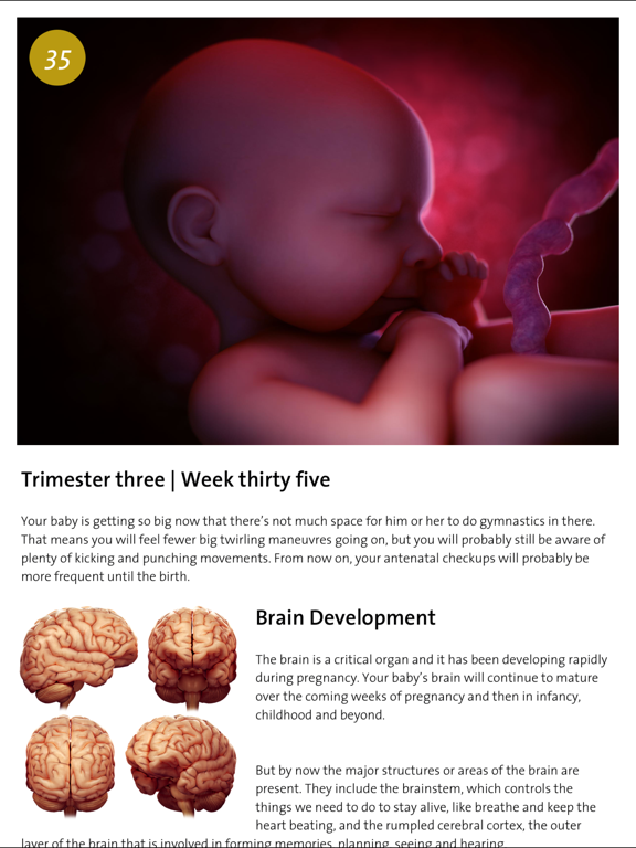Pregnancy: Life in the Wombのおすすめ画像3