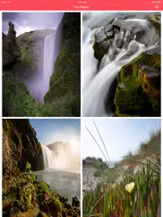 live photos to gif - livegifs ipad capturas de pantalla 2