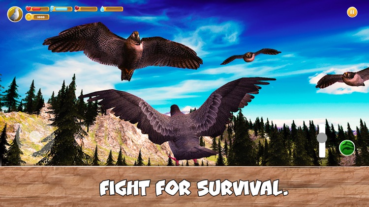 Wild Pigeon Simulator Full screenshot-3
