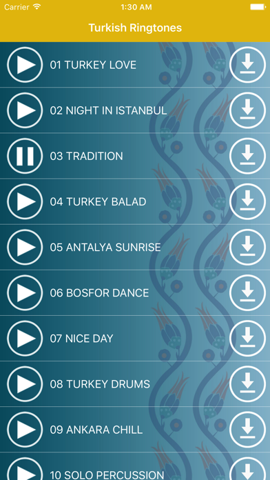 トルコの着メロ - 東洋のマイナーアジアの音のおすすめ画像2