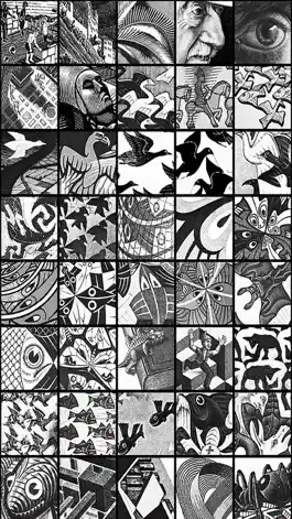Game screenshot M. C. Escher The Graphic Work apk