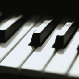 Learn To Play The Piano