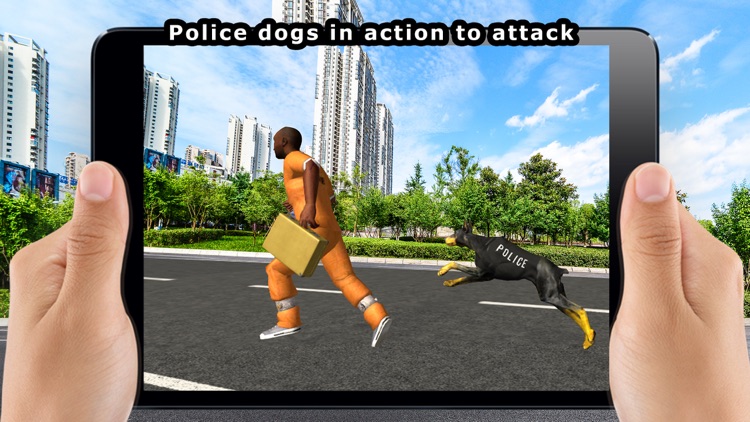 Police Dog Crime Chasing