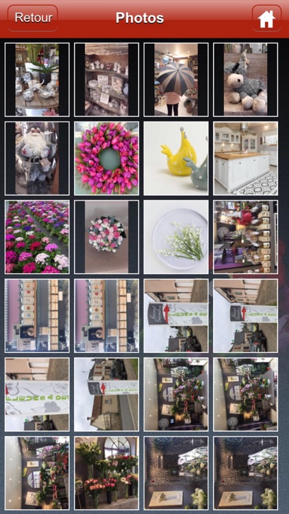 Secret Garden screenshot-3