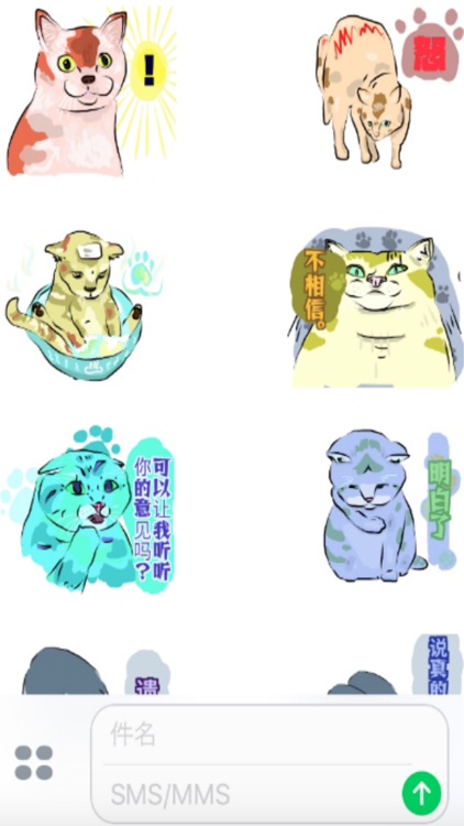 有点怪猫