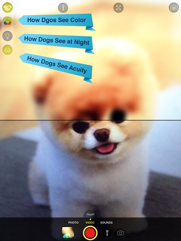 Dog Vision HDのおすすめ画像2