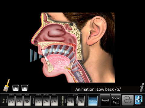 Affricates Stops screenshot 3