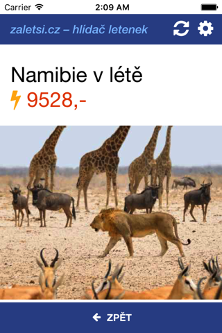 zaletsi.cz – hlídač letenek - náhled