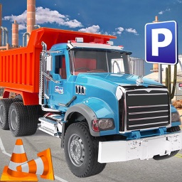 Driver Truck Cargo 3D