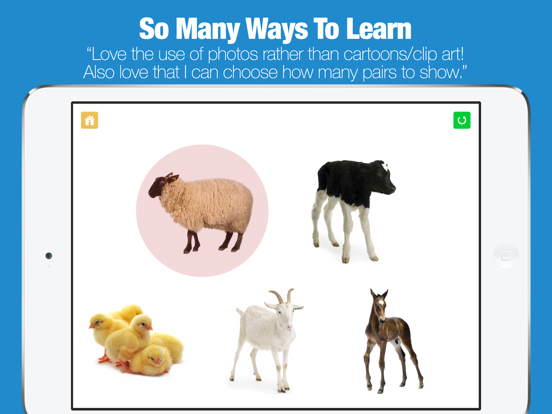 Screenshot #6 pour Preschool Games - Farm Animals by Photo Touch