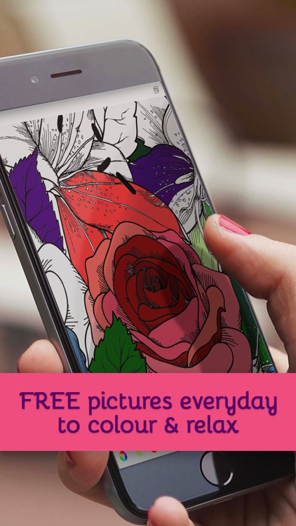 Calmeleon: Coloring Book for Adults