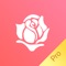 There are so many flowers in the world, such as rose, lily, jasmine and so on