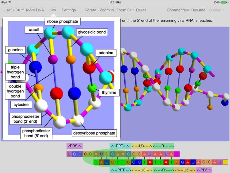 OnScreen Retrovirus