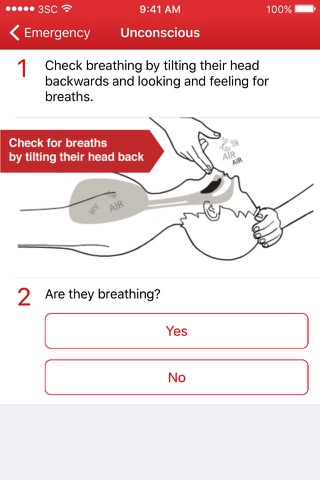 First Aid by Bahamas Red Cross screenshot 3