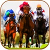 Royal Derby Horse Riding Simulator - Wild Horses