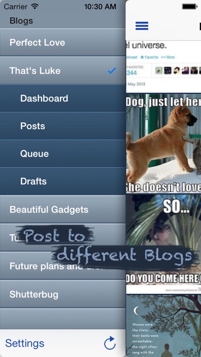 Screenshot #2 pour TumbleBoard Pro