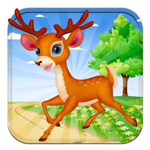 Adventure of Deer Hunting - Hunter Challenge Pro icon