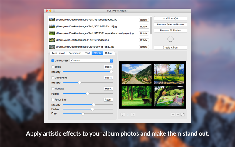 PDF Photo Album - Convert Images to PDF thumbnail 4