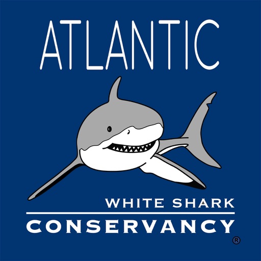 Sharktivity - White Shark Sightings
