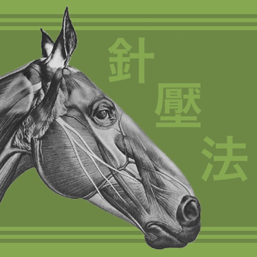 Equine AcuPoints Icon