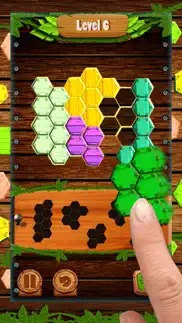 hexa wood block puzzle! iphone screenshot 1