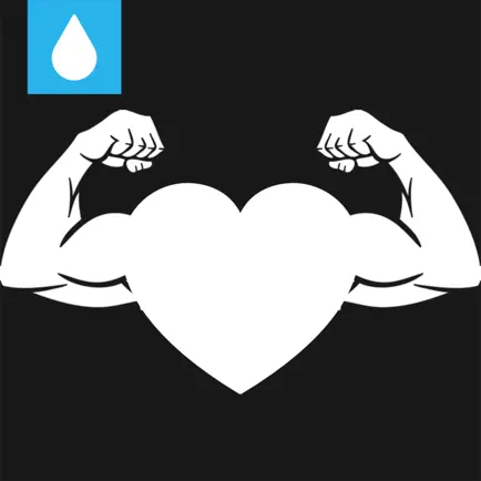 Men's & Womens Anytime Exercises - Fitness Workout Cheats