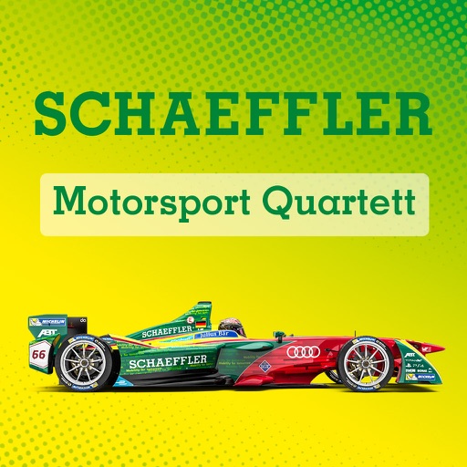 Schaeffler Motorsport Quartets Icon