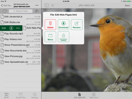 FTP On The Go PRO iPad app afbeelding 4