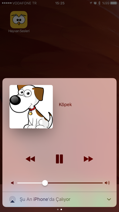 Animal Sounds From Nature screenshot