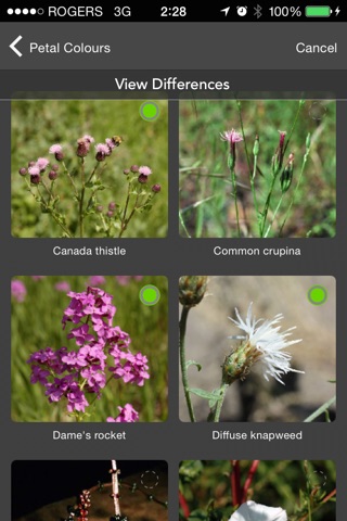 Alberta Weed Spotter screenshot 4