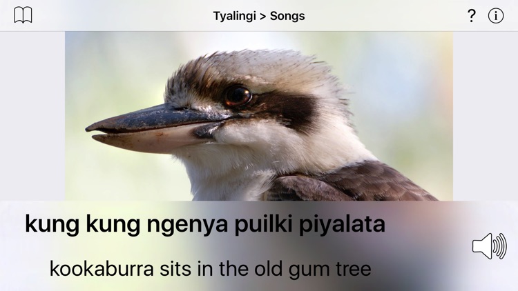 Tyalingi