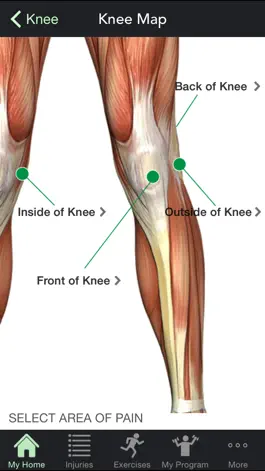 Game screenshot BrianColeMD KneeGuide apk