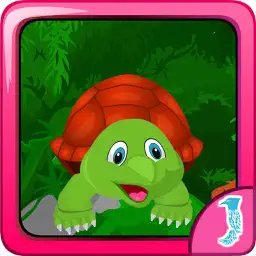 Tortoise Box Escape app icon
