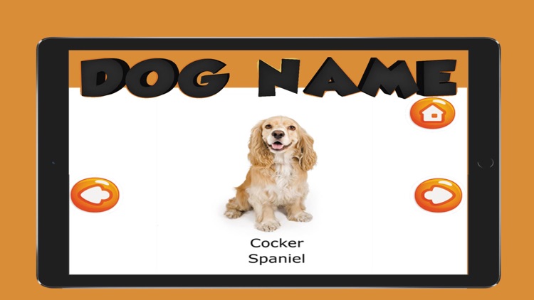 The Dog Name English Vocabulary